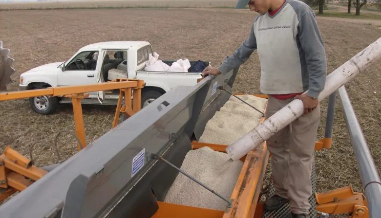 Inversiones agro: los productores ven un buen escenario económico, pero preocupa la cosecha de soja y maíz
