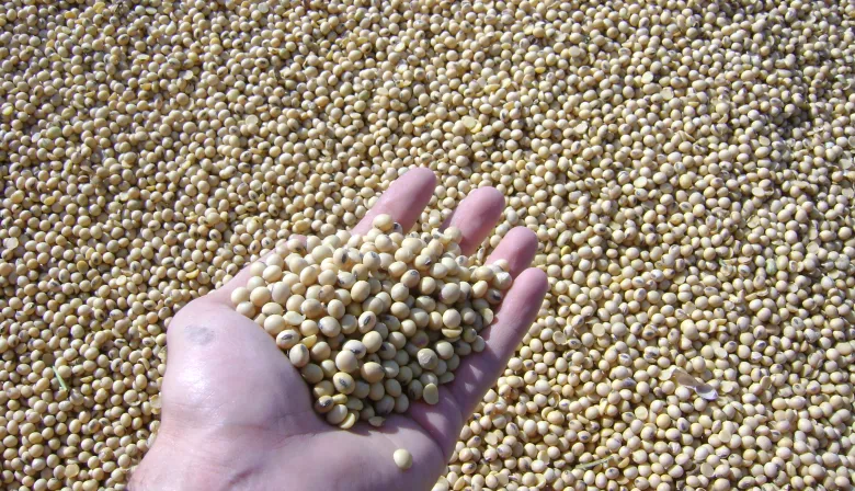 En marzo, los productores pusieron el freno de mano con la venta de soja