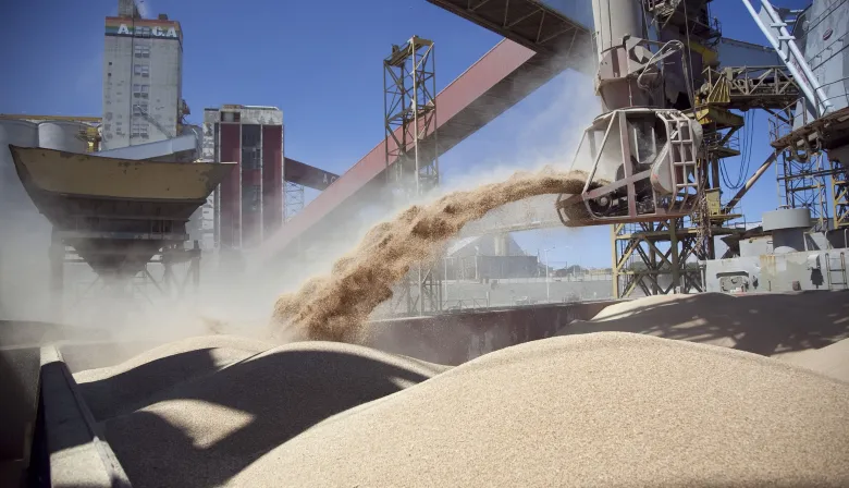 La agroindustria, con el "pulgar arriba" ante los anuncios del Gobierno sobre el dólar