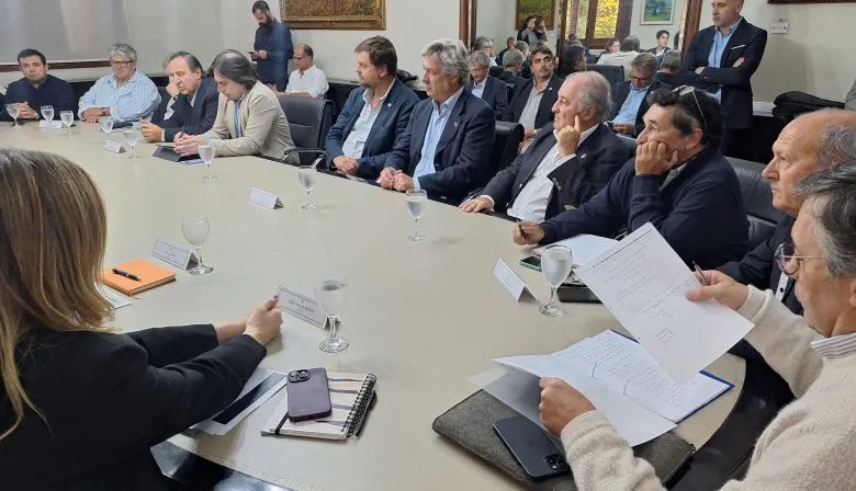 Un nuevo round por las retenciones: "Seguramente bajen las expectativas de siembra del trigo y de inversión"