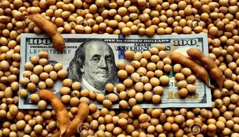 La BCR proyectó un salto histórico en el ingreso de dólares del agro, a partir de tres cambios clave
