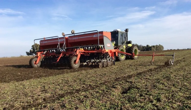 Trigo: en zona núcleo, esperan un aumento en el área sembrada