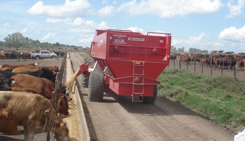 En 2025, el negocio del feedlot ratificó una mejora en sus márgenes rentables