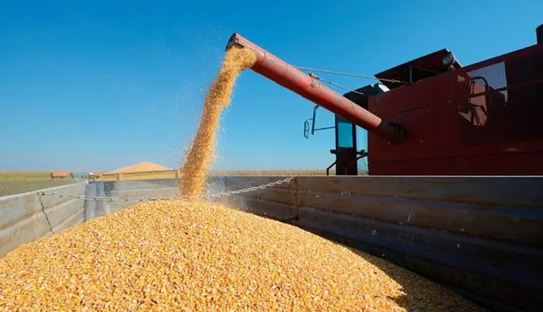 Sube la soja, cae el trigo: las proyecciones 2025/26 del USDA que miran los mercados