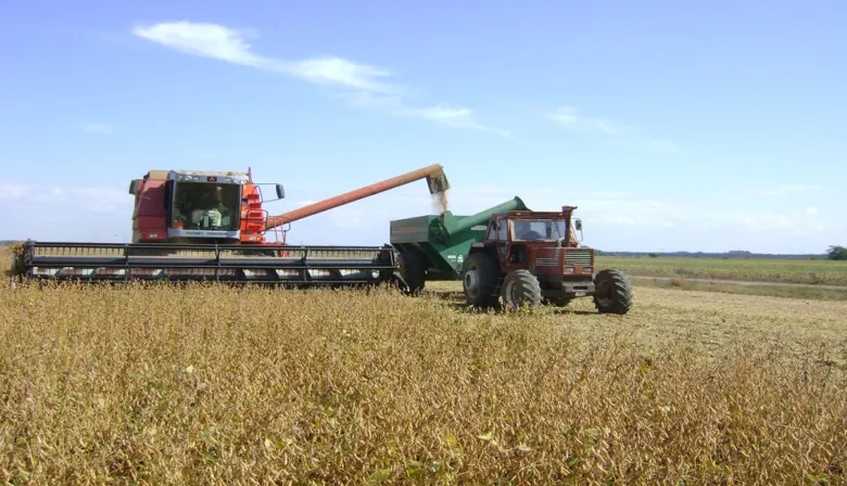 Retenciones: el campo celebró la prórroga en trigo y cebada, pero reclamó la quita en soja