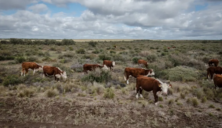 Alerta en la Patagonia: ¿se levanta la barrera sanitaria el 16 de junio?