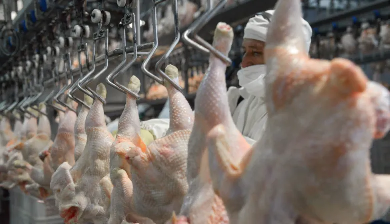 Japón levanta restricciones y la carne aviar argentina regresa después de cuatro meses
