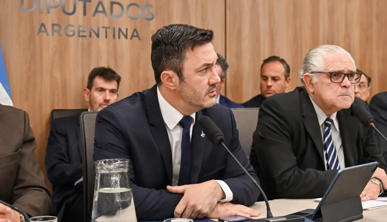 Petri en el Congreso: "Compraban salmón y whisky, y tenían hambreados a los soldados argentinos"