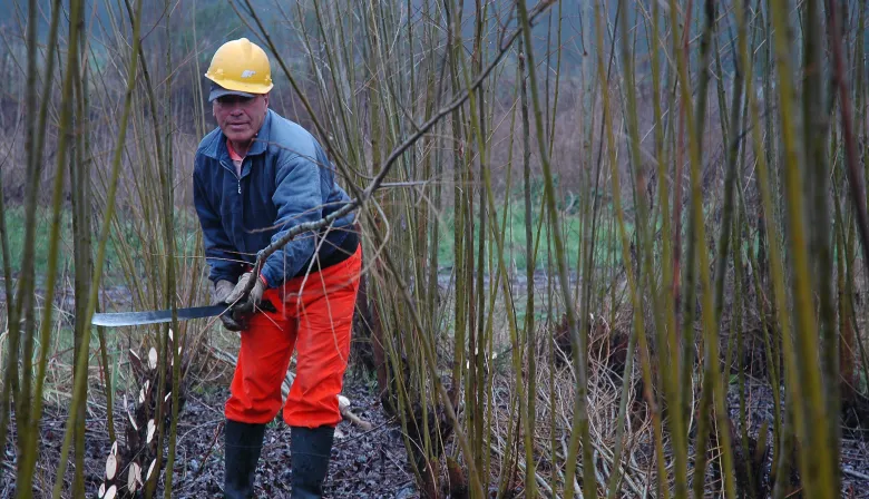 Deforestación: fuerte reclamo de Argentina tras la decisión de la Unión Europea