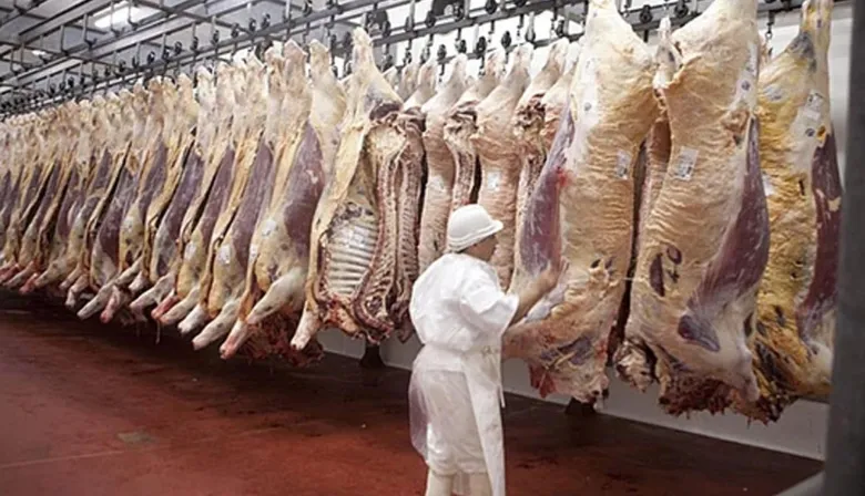 Menos oferta de carne: en mayo, la faena vacuna cayó un 5%