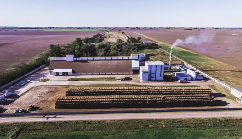 De residuo a energía limpia: con la cáscara de maní, generan energía para 18.000 hogares