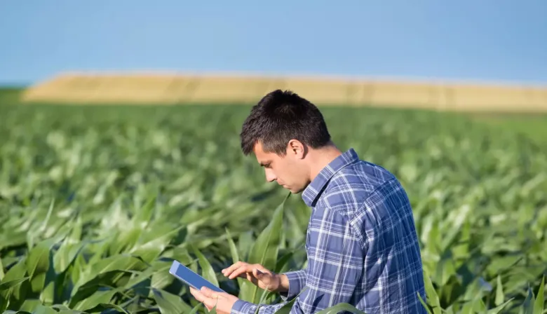 Marketing en el agro: por qué comunicar bien sigue siendo el gran desafío