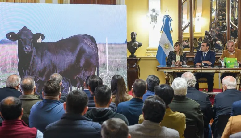 Corrientes destinará $5.200 millones para modernizar sus frigoríficos 