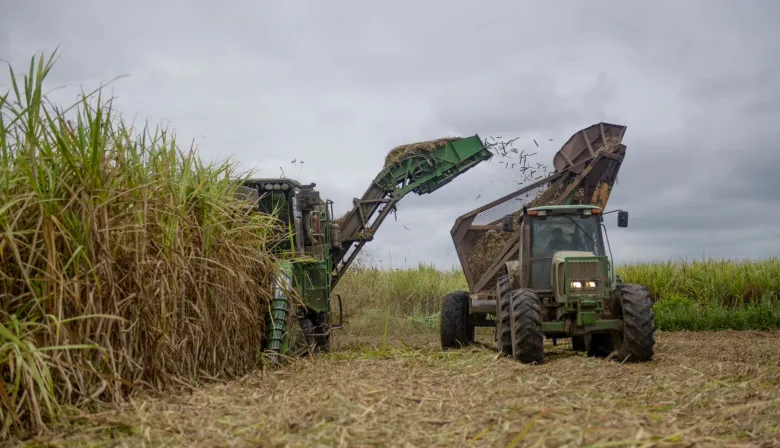 Warrants: el agro tomó crédito por $57.000 millones y U$S 1.300 millones en cuatro meses