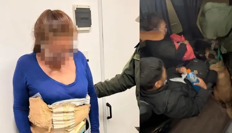 Helena, la perra de Gendarmería que delató a una pasajera que viajaba en micro con dos kilos de cocaína