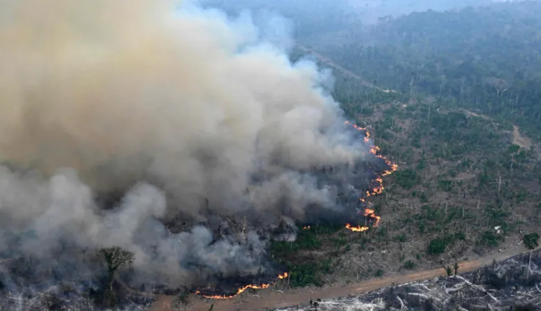 Brasil batió récord de incendios forestales en 2024 bajo el gobierno de Lula da Silva