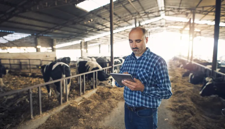 Ganadería 4.0: trazabilidad animal con chips y apps desde el campo al plato