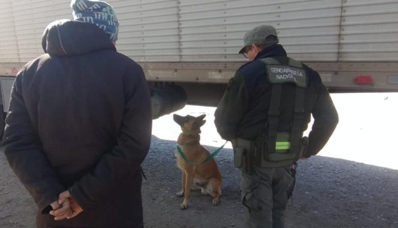 Un perro antinarcóticos descubrió 40 kilos de pasta base en un camión que trasladaba tanques de agua