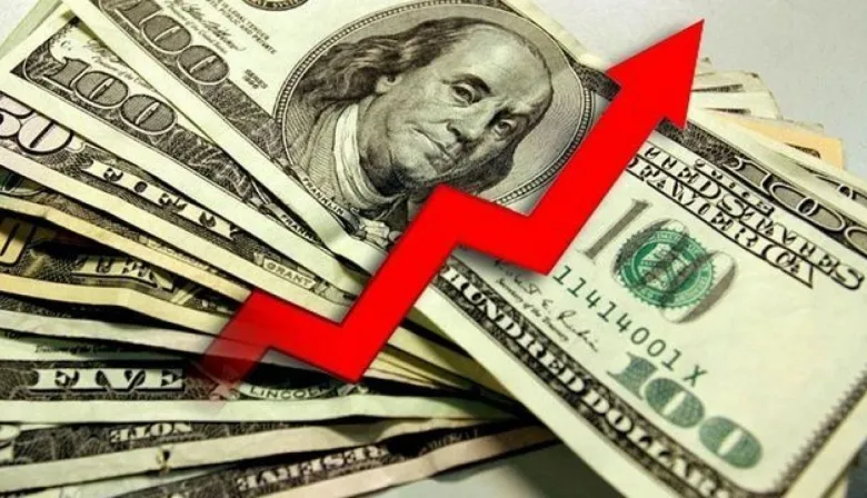 El dólar rompió el techo de los $1.200 y encendió luces rojas en el mercado