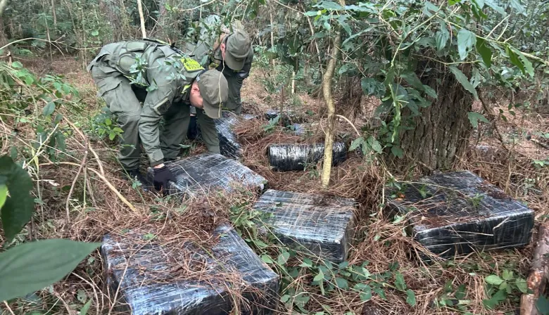 Cómo fue el hallazgo de más de una tonelada de marihuana en el monte misionero