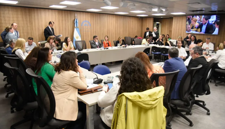 Se reúnen las comisiones de Educación y Presupuesto por el financiamiento universitario