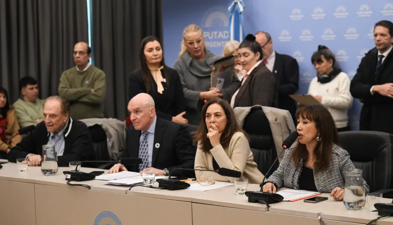Otro revés para el Gobierno: Diputados dictaminó un proyecto clave para el Garrahan