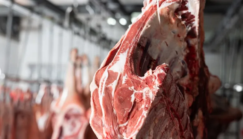 Mala noticia para la Patagonia: Chile suspendió compras de carne vacuna argentina