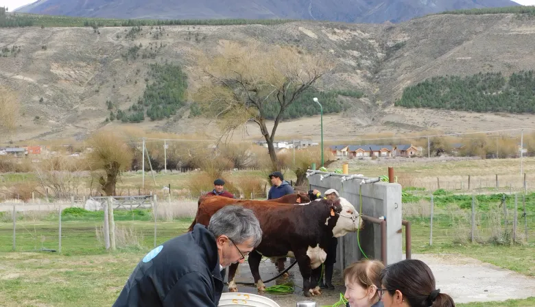 "A los productores patagónicos nos han mentido y despojado"