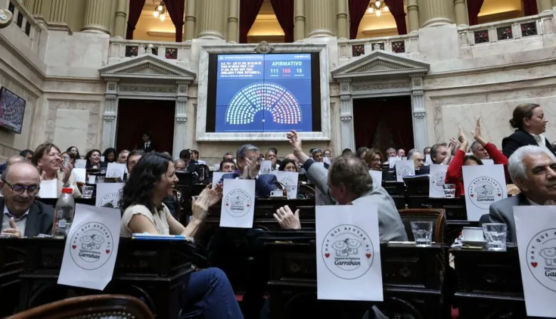 Por unanimidad, el Senado convirtió en ley la declaración de emergencia por discapacidad