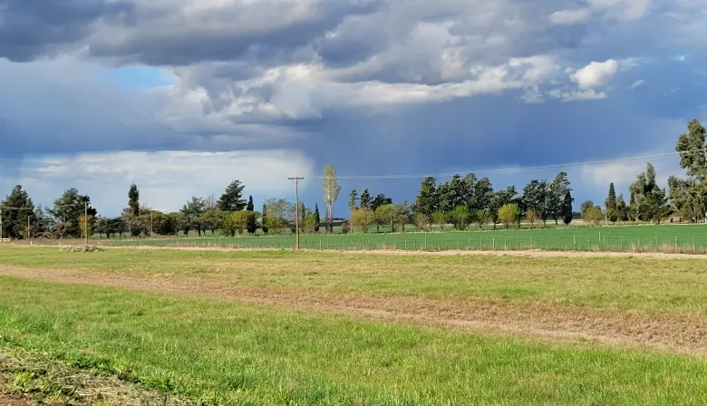 Clima: El Niño seguirá neutro y hay alerta por lluvias dispares para el agro argentino