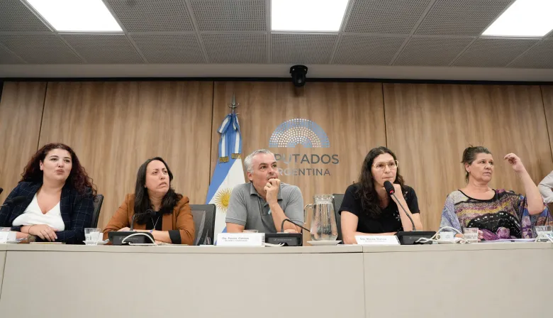Diputados debatirán sobre violencia política y persecución