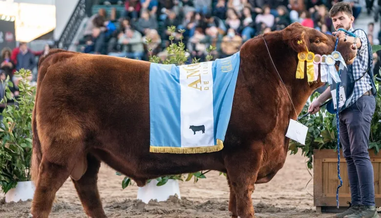 Con récord de animales inscriptos, el jueves 17 de julio comenzará la Exposición Rural de Palermo