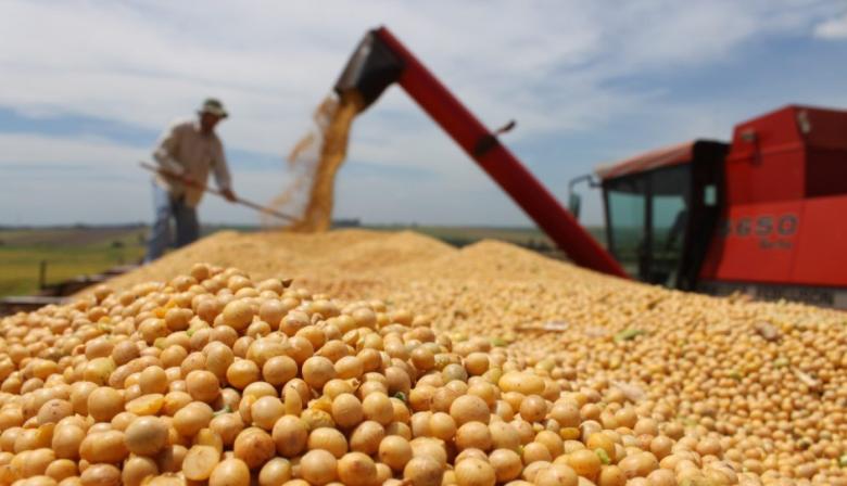 Proyectan USD 28.800 millones extra para el agro por baja de retenciones