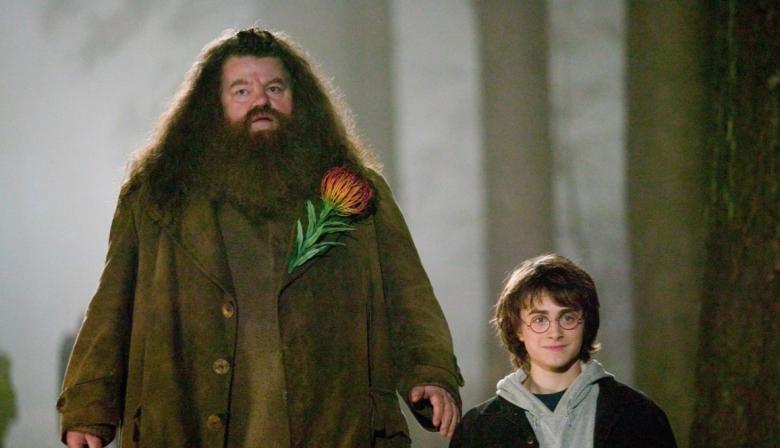 Así se ve el Rubeus Hagrid interpretado por Nick Frost en la serie de Harry Potter