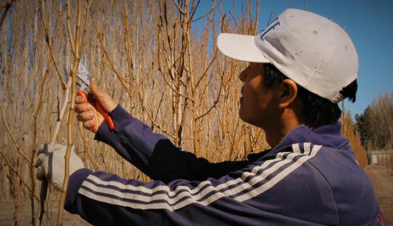 La negociación salarial entre UATRE y las entidades del agro sigue sin avanzar