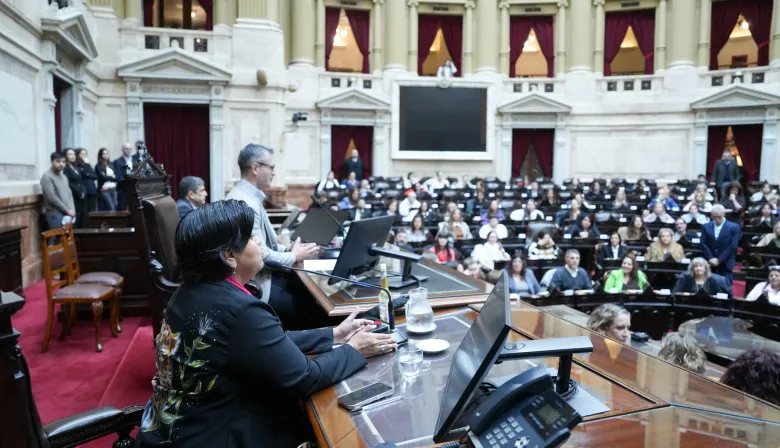 Argentina elige Defensor del Niño: cómo avanza el proceso en Diputados