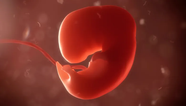 Aborto y activismo: Ana Cristina González en el ojo de la tormenta