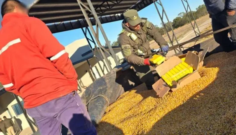 Un perro de Gendarmería descubrió un cargamento de drogas en un camión que transportaba maíz