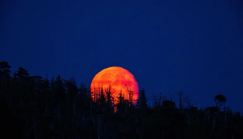 Luna de Sangre 2025: un eclipse lunar total teñirá el cielo