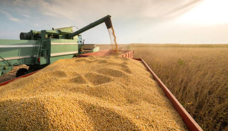Soja: Argentina acelera ventas mientras China sigue comprando en Brasil