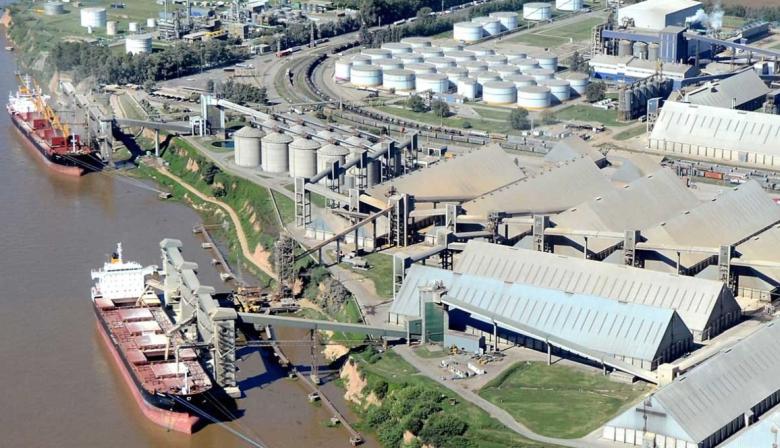 El Gobierno confirmó la baja de retenciones y los exportadores marcaron un récord: asi fue la semana del agro