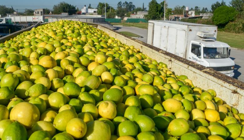 Maní, aceite de soja y limón, en el podio de las exportaciones argentinas al mundo