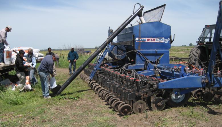 Con más fertilización en el lote, el maíz puede generar divisas adicionales por USD 1.050 millones