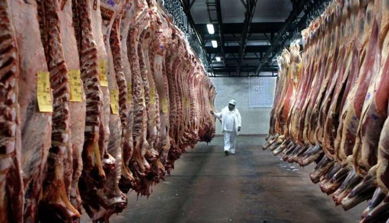 Exportaciones de carne: Uruguay y Paraguay crecen, mientras Brasil sufre los aranceles de Trump