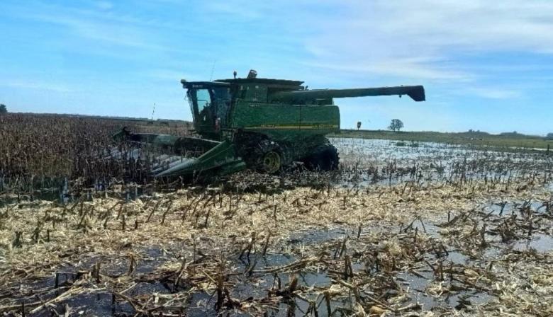 Denunciaron a tres intendentes y funcionarios bonaerenses por “inacción” ante las inundaciones 