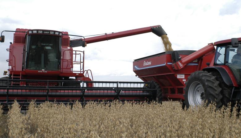 La Bolsa de Cereales de Buenos Aires anticipó una cosecha récord de 142,6 millones de toneladas