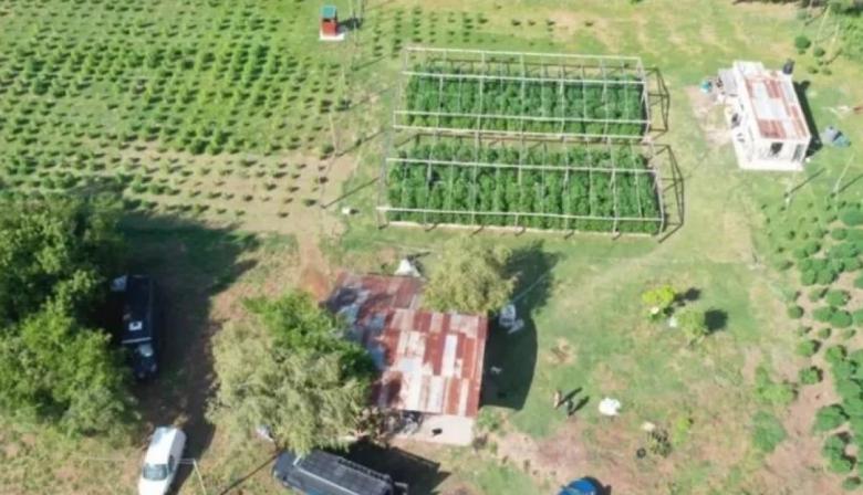 Santa Fe: ya tiene fecha el juicio por el “vivero narco” de Arroyo Leyes y un invernadero en el macrocentro