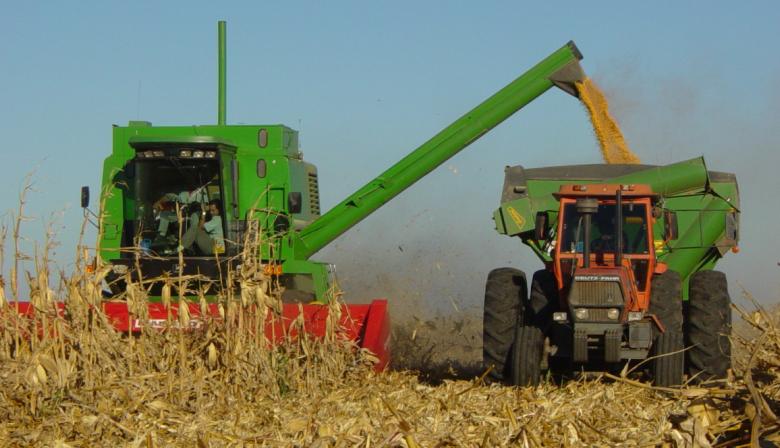 La semana del agro, entre un maíz que apunta al récord, soja en retroceso y reclamos por biodiésel