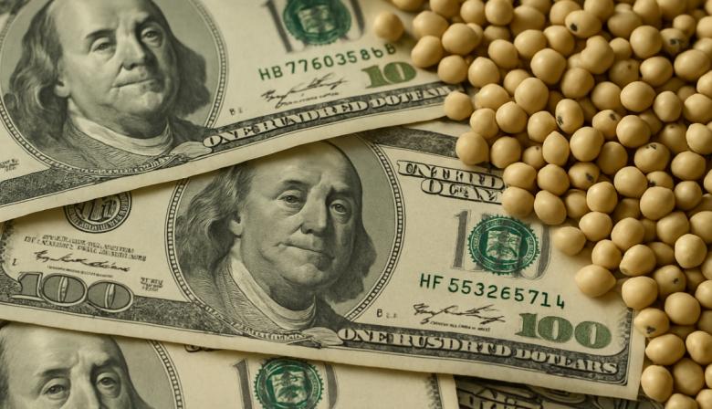 Sorpresa: el Gobierno anunció retenciones cero para granos y subproductos hasta el 31 de octubre
