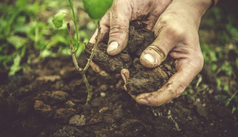 Polémica entre CIAFBA y el campo por un proyecto de ley sobre el cuidado del suelo en Buenos Aires 